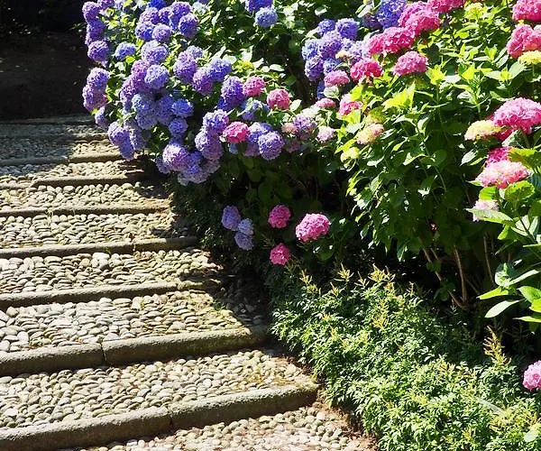 Casa Mondadori * מאינה